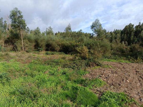 Terreno en Coiros photo 2