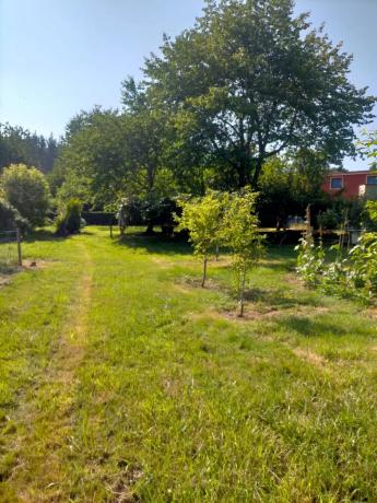 Terreno en Coiroa s/n photo 2