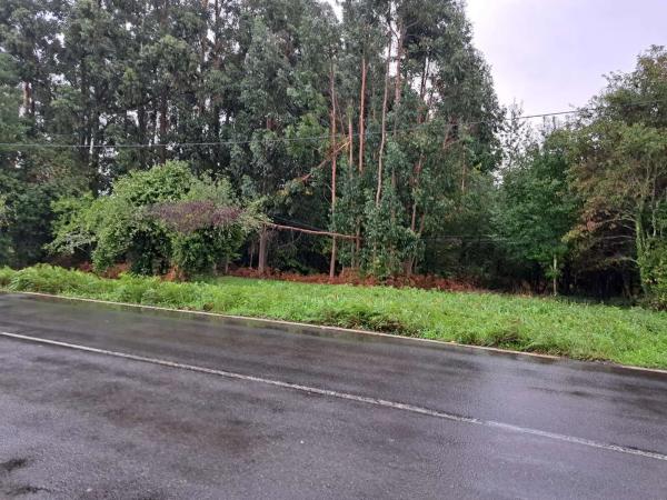 Terreno en Lugar Pedreira photo 1