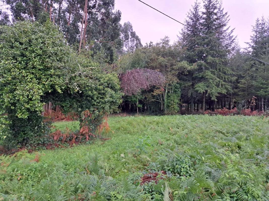 Terreno en venta en Paderne, A Coruña photo 3