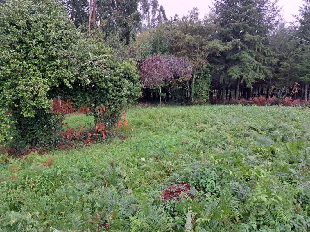 Terreno en venta en Paderne, A Coruña photo 4