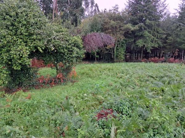 Terreno en Lugar Pedreira photo 4