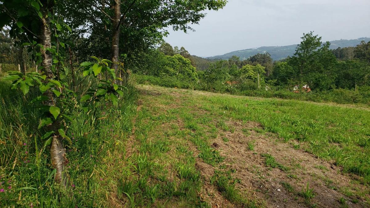 Land for sale in Irixoa, A Coruña photo 3