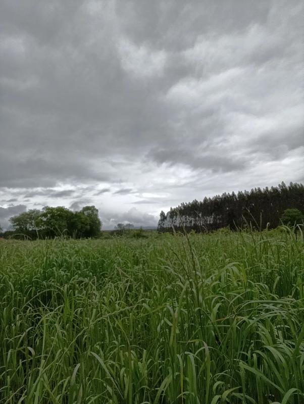 Terreno en venta en Oza-Cesuras, A Coruña photo 2