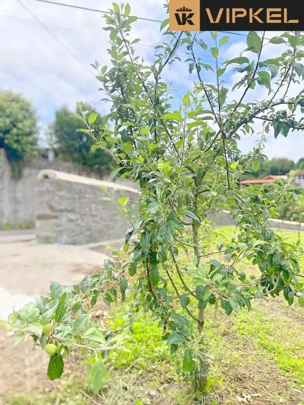 Участок земли на продажу в Падерне, Ла-Коруня photo 3