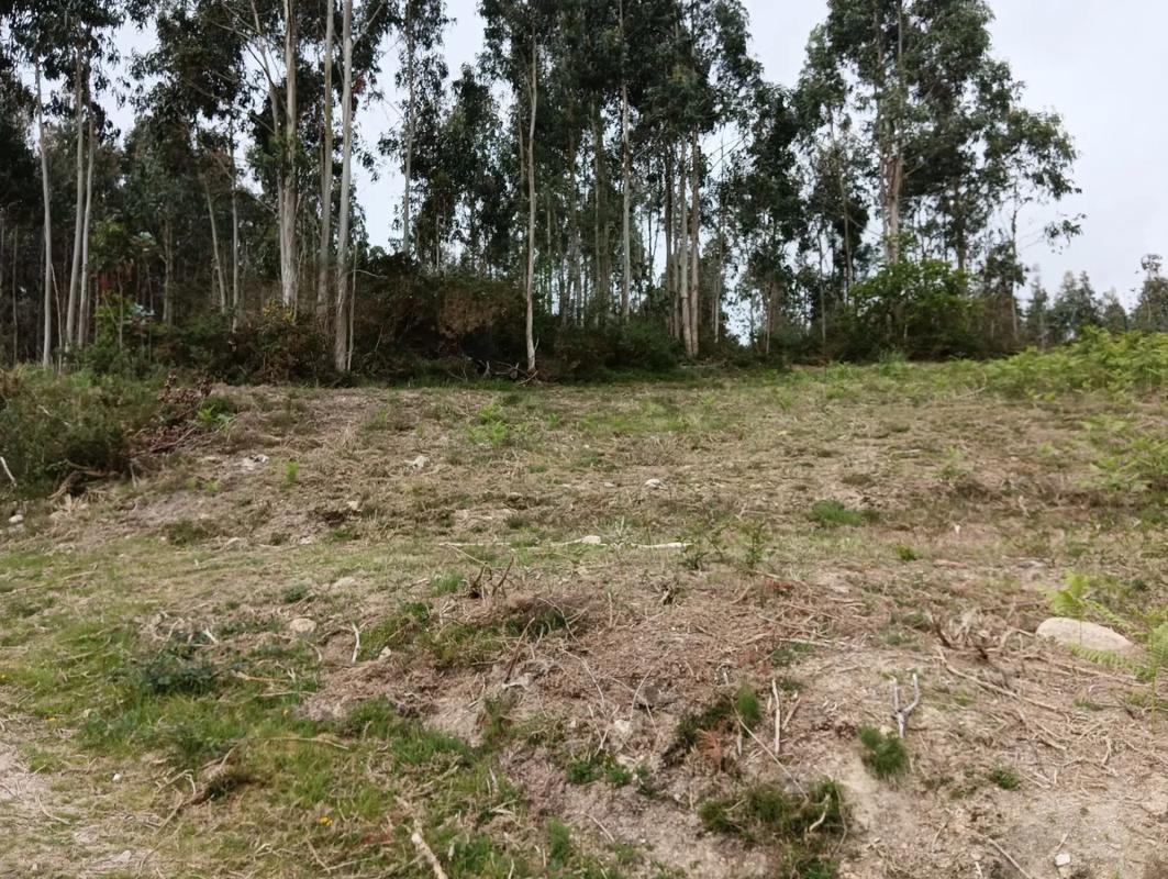 Terreno en venta en Coiros, A Coruña photo 3