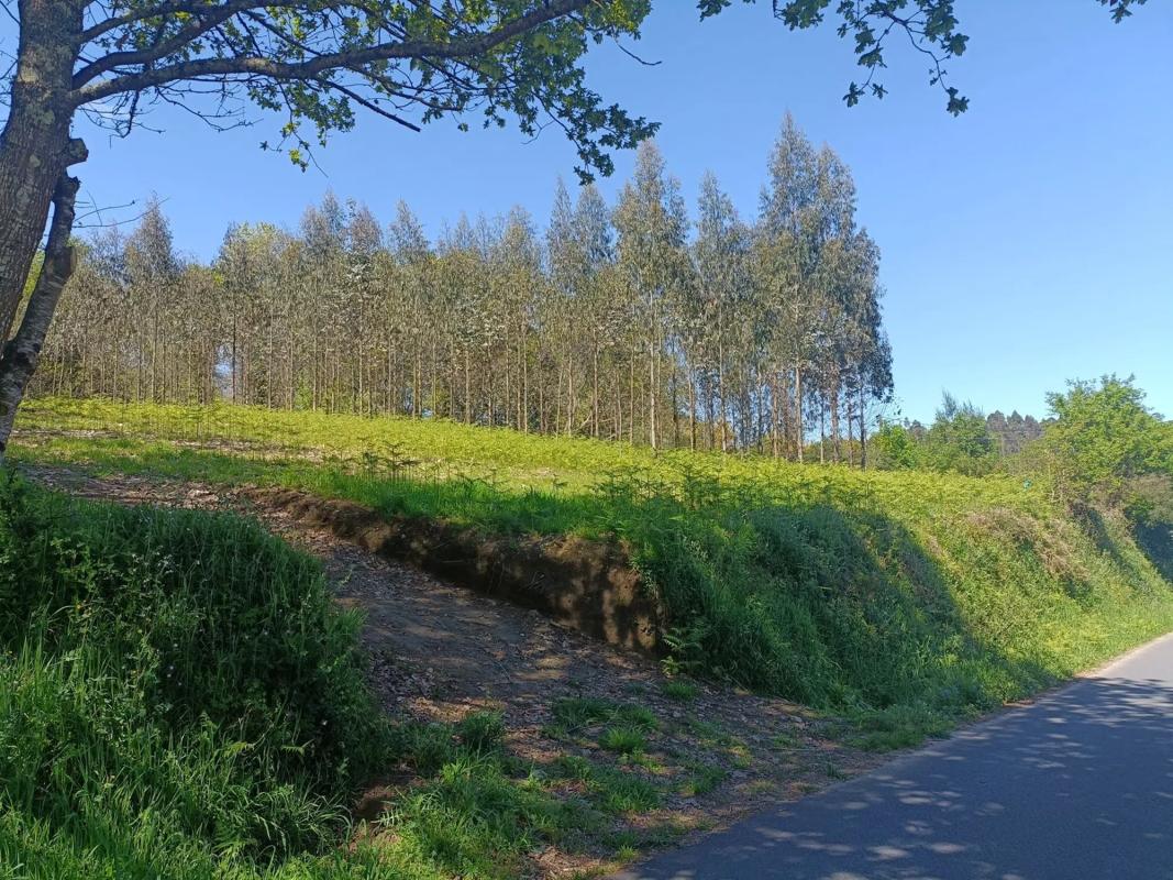Terreno en venta en Oza-Cesuras, A Coruña photo 1