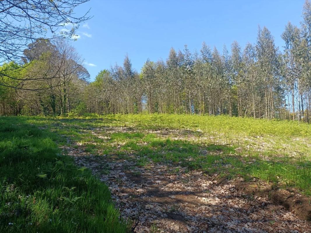 Terreno en venta en Oza-Cesuras, A Coruña photo 2