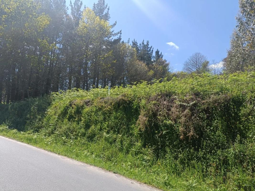 Terreno en venta en Oza-Cesuras, A Coruña photo 4