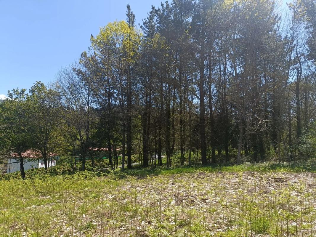Terreno en venta en Oza-Cesuras, A Coruña photo 5
