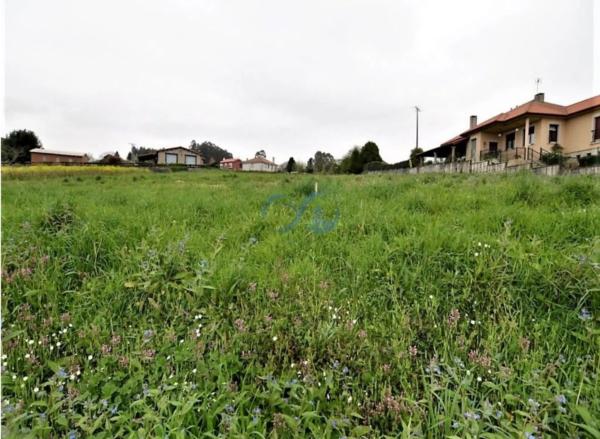 Terreno en Mondoi photo 3