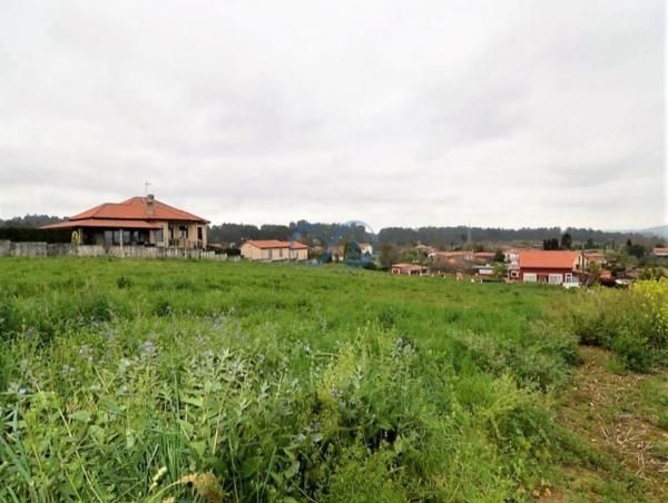 Terreno en Mondoi photo 4