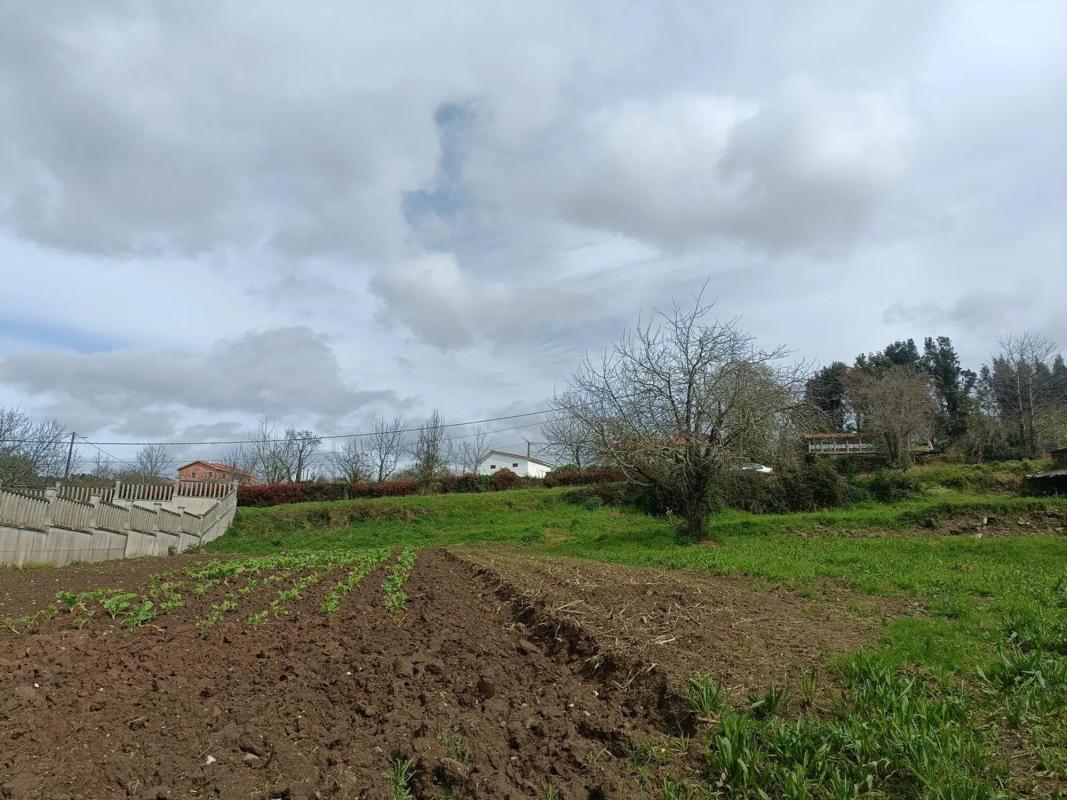 Terreno en venta en Oza-Cesuras, A Coruña photo 5