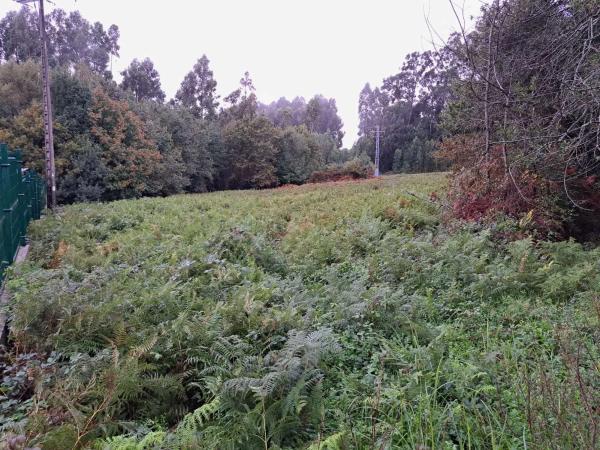 Terreno en Lugar Pedreira photo 1