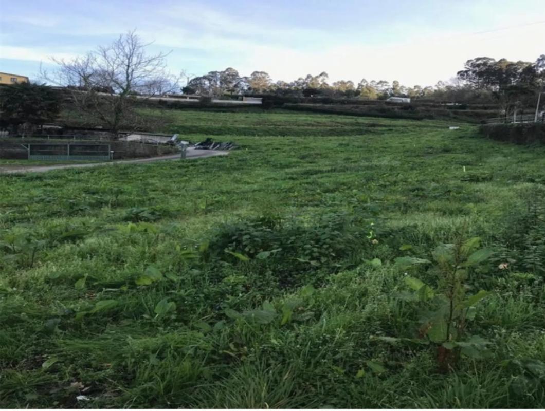 Land for sale in Betanzos, A Coruña photo 1