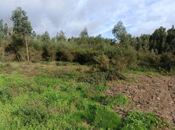 Terreno en Figueiras photo 2