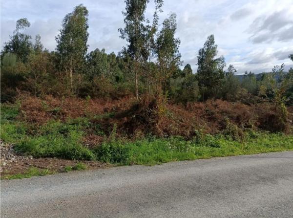 Terreno en Figueiras photo 3