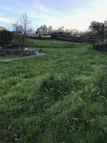 Terreno en Betanzos photo 2