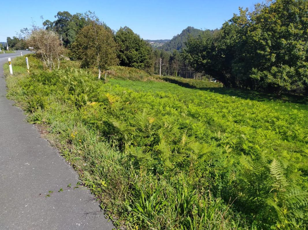 Land for sale in Coiros, A Coruña photo 2