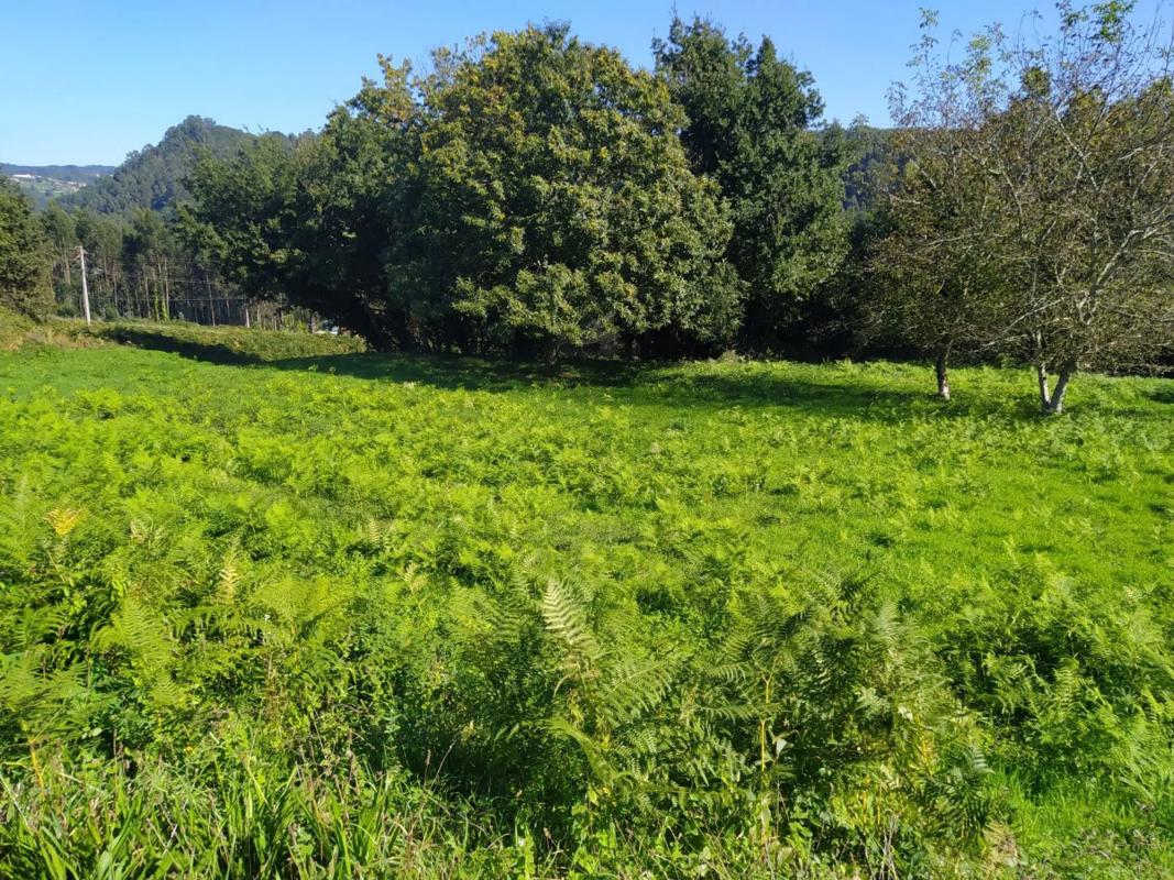 Land for sale in Coiros, A Coruña photo 3