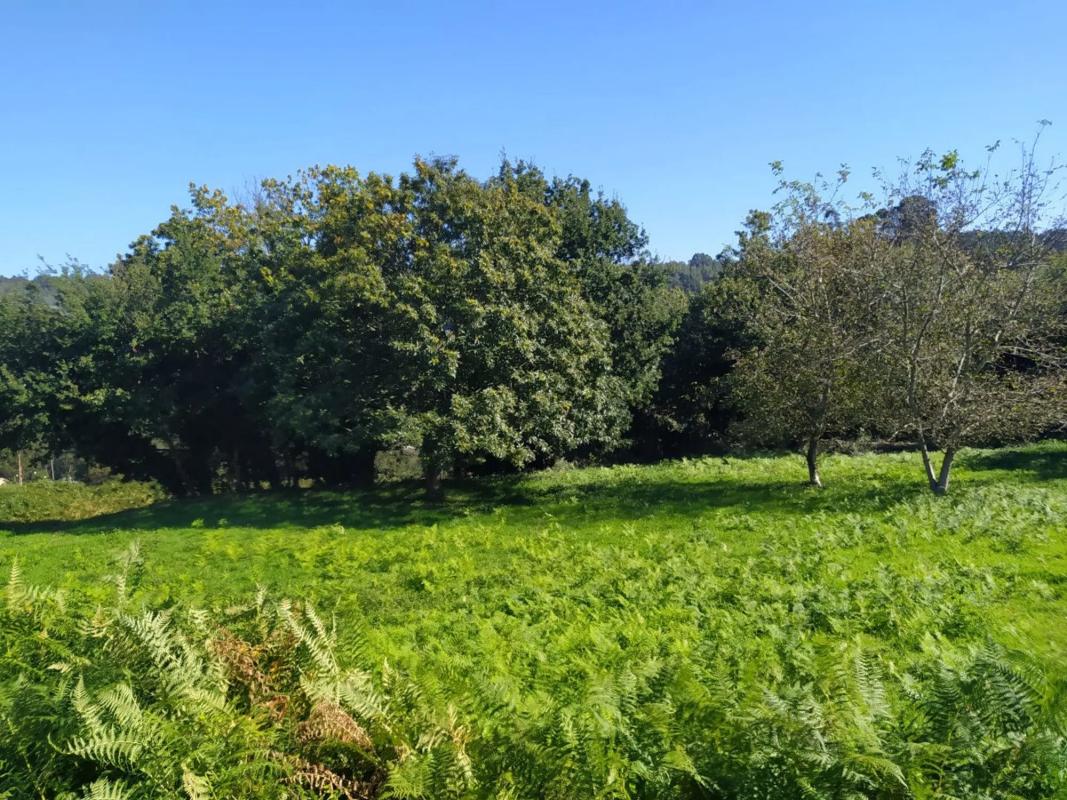 Land for sale in Coiros, A Coruña photo 5