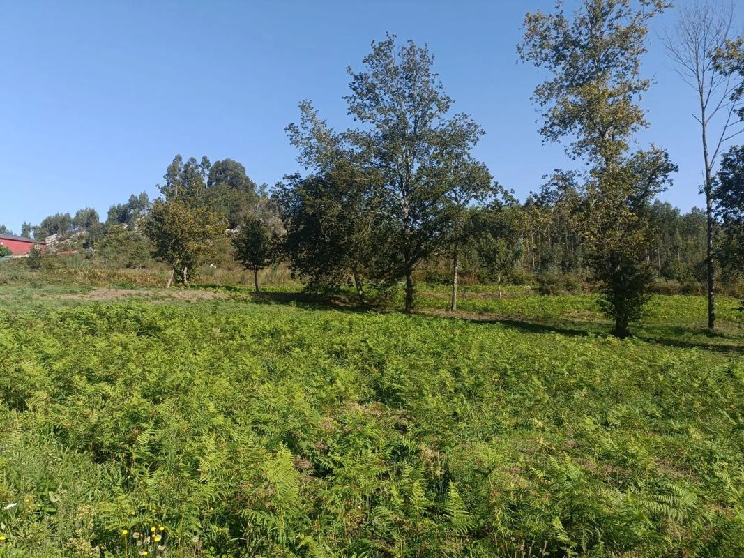 Участок земли на продажу в Койрос, Ла-Коруня photo 3