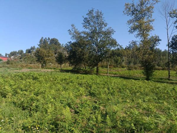 Terreno en Coirós Arriba photo 3