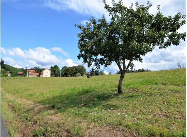Terreno en Ambroa photo 1
