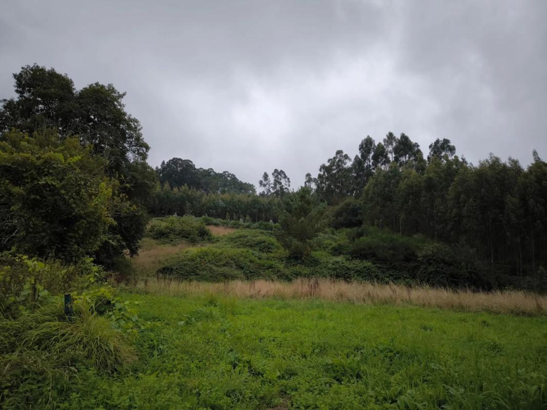 Terreno en venta en Oza-Cesuras, A Coruña photo 1