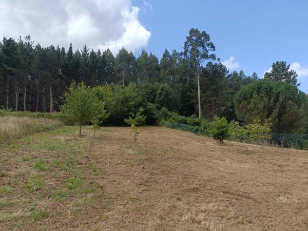 Terreno en Burricios photo 1