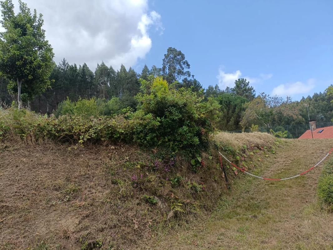Terreno en venta en Oza-Cesuras, A Coruña photo 2
