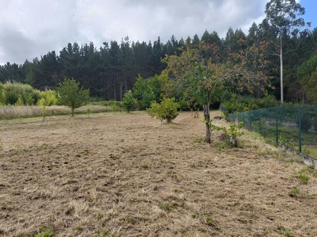Terreno en venta en Oza-Cesuras, A Coruña photo 4