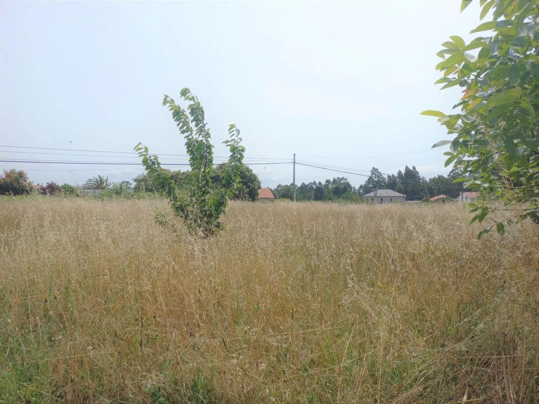 Terreno en venta en Miño, A Coruña photo 3