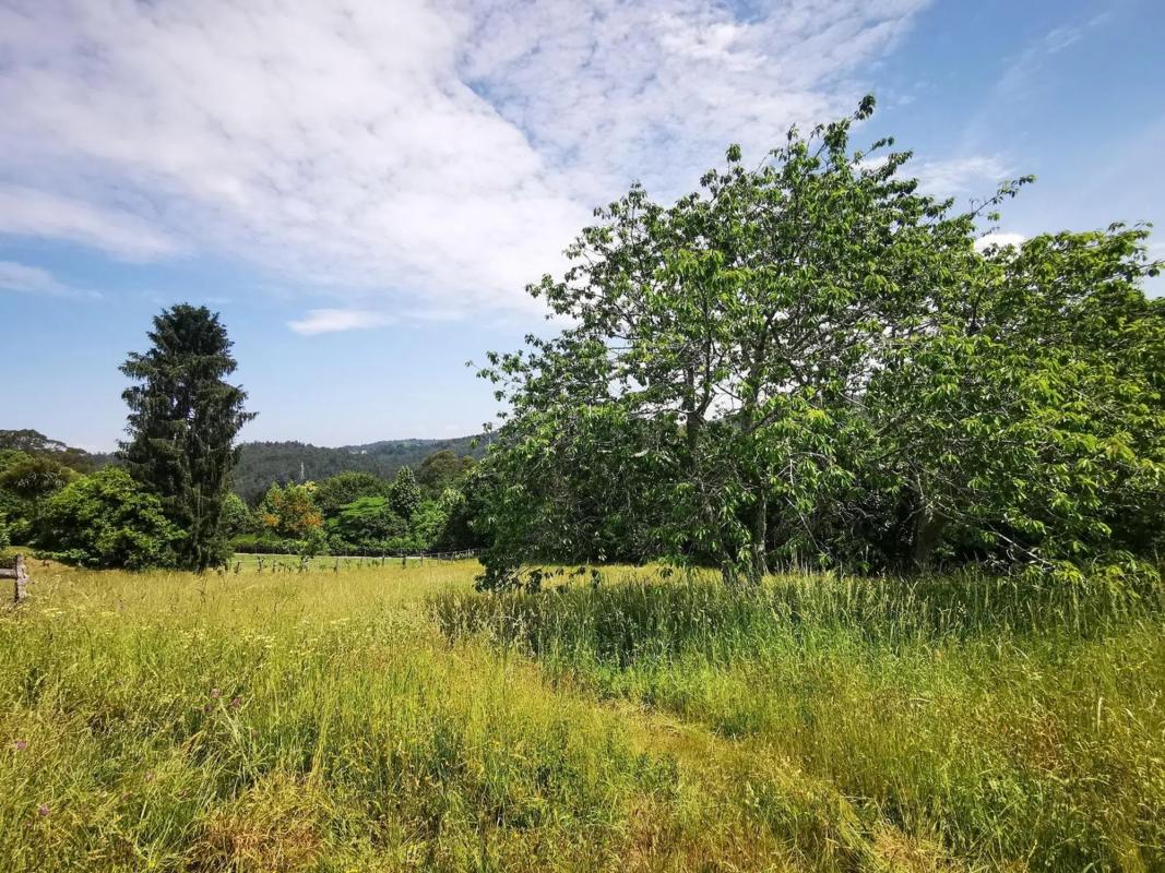 Land for sale in Coiros, A Coruña photo 2