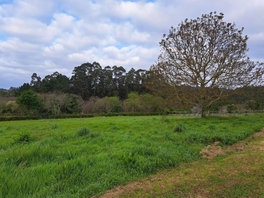 Terreno en venta en Miño, A Coruña photo 2