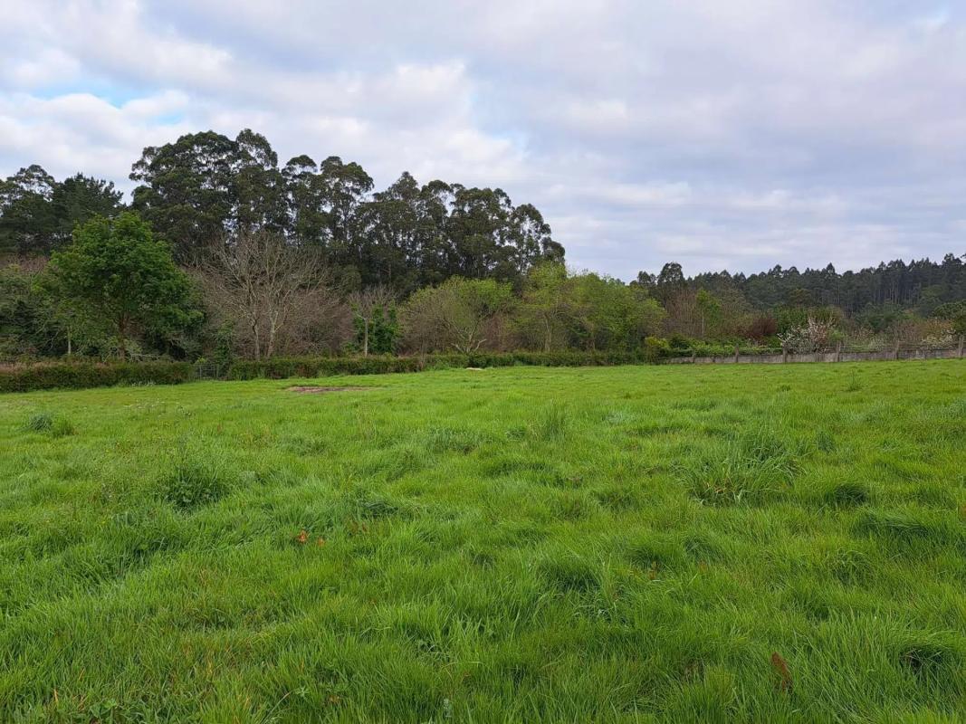 Terreno en venta en Miño, A Coruña photo 3