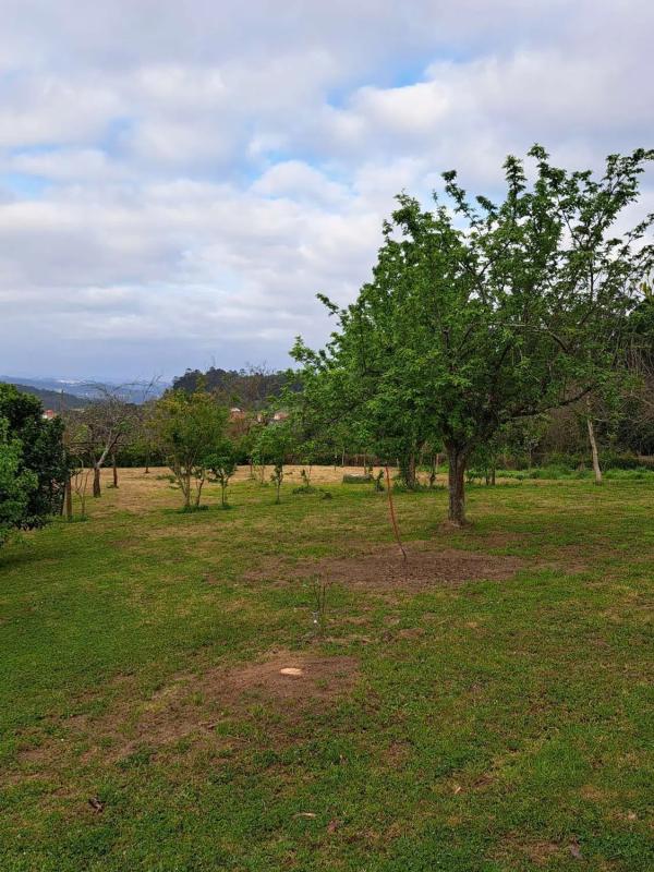 Terreno en venta en Miño, A Coruña photo 4
