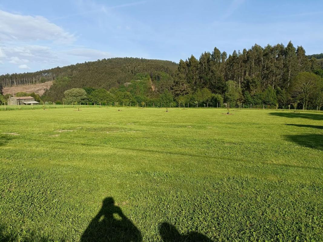 Terreno en venta en Oza-Cesuras, A Coruña photo 3