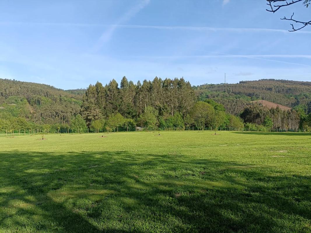 Terreno en venta en Oza-Cesuras, A Coruña photo 4