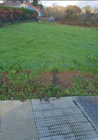 Terreno en Oza-Cesuras photo 1