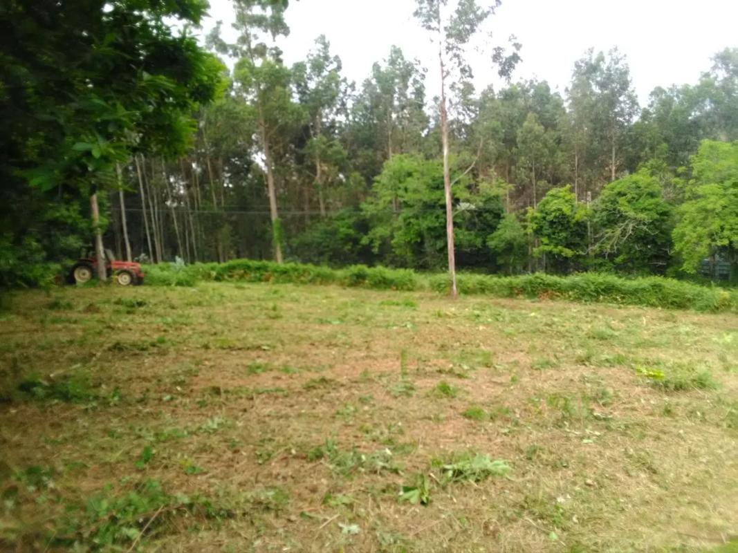 Land for sale in Coiros, A Coruña photo 2