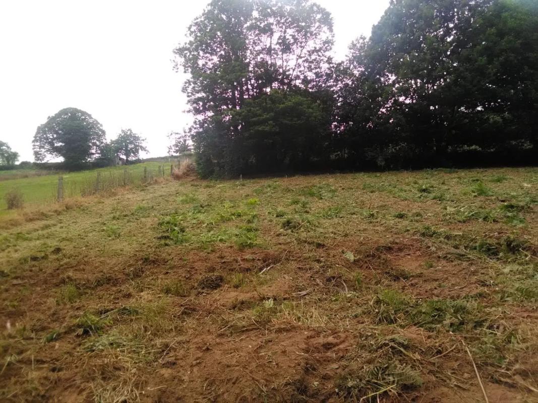 Land for sale in Coiros, A Coruña photo 5