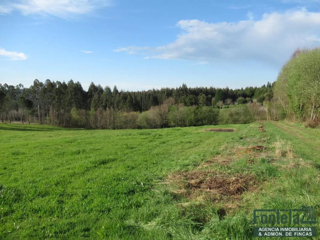 Terreno en venta en Oza-Cesuras, A Coruña photo 3