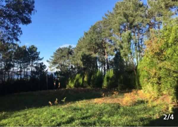Terreno en Perbes photo 1