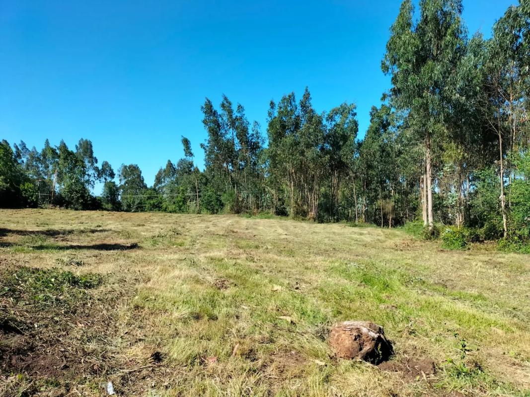 Terreno en venta en Coiros, A Coruña photo 1