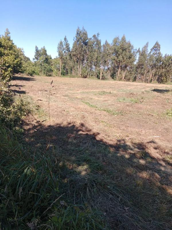 Terreno en venta en Coiros, A Coruña photo 3