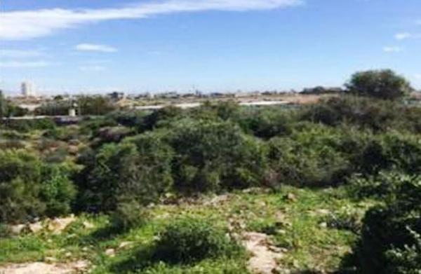 Terreno en calle Barrosa, 32 thumbnail 2