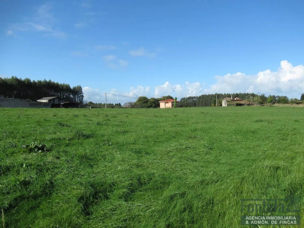 Terreno en venta en Paderne, A Coruña photo 2