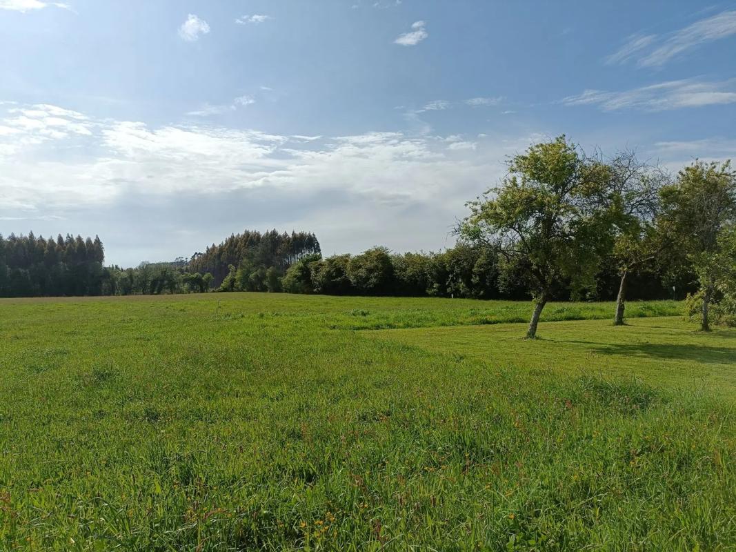 Terreno en venta en Vilasantar, A Coruña photo 2