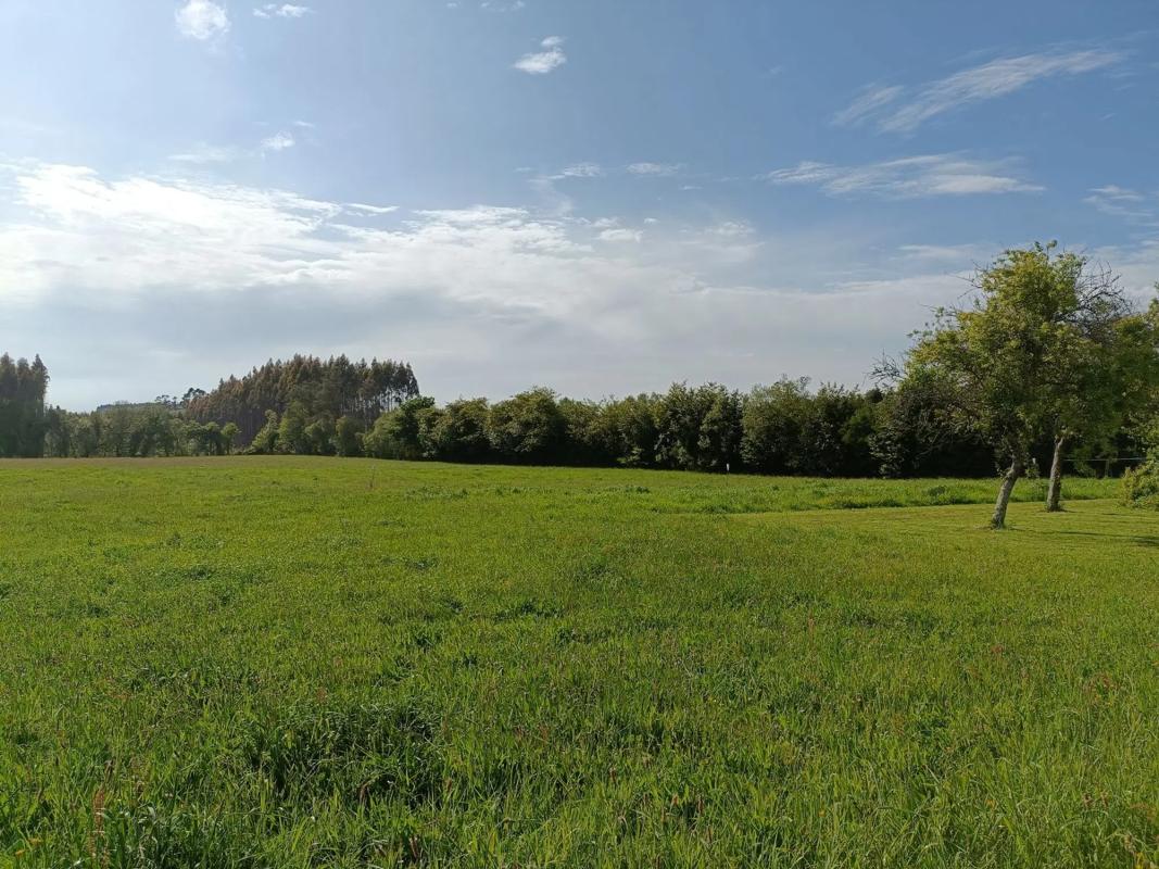 Terreno en venta en Vilasantar, A Coruña photo 3